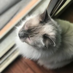 Meet your Posher, Tony